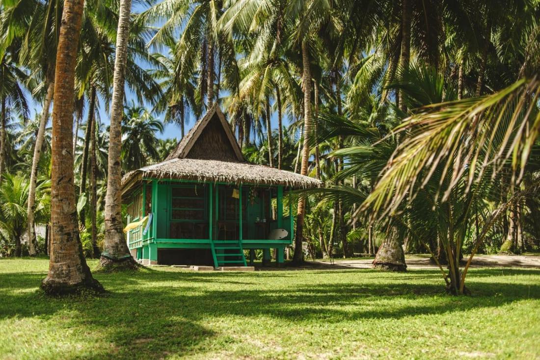 Pacifico Bigwish Beach Resort San Isidro  Exterior photo